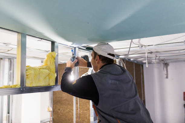 Best Insulation Maintenance and Repair in Centerfield, UT